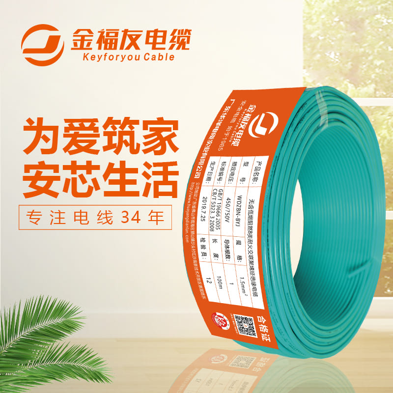 金福友WDZBN-BYJ海報