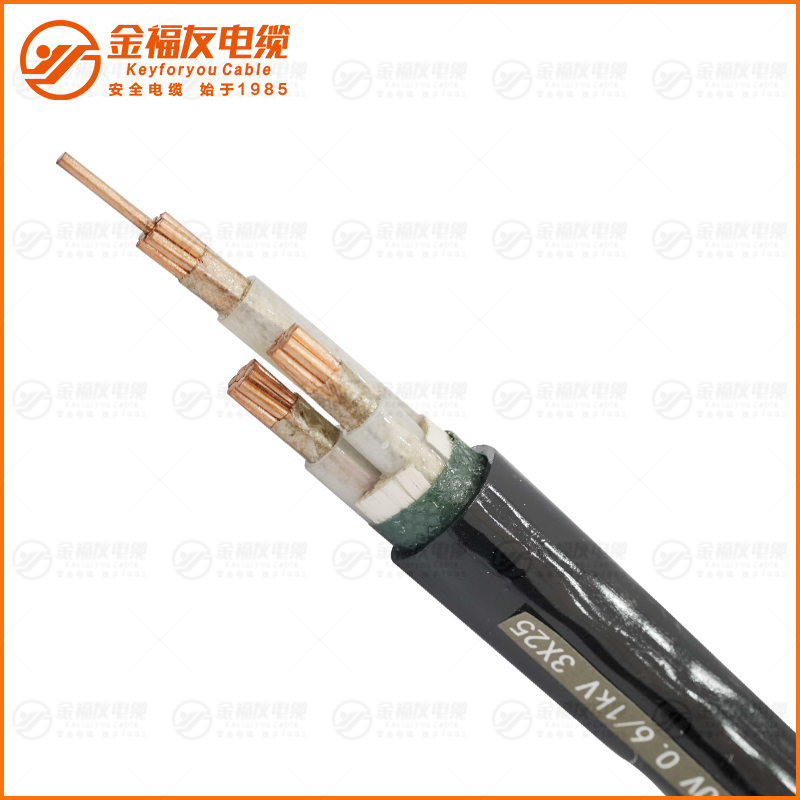 NH-YJV 0. 6 1kV 3X25 NH-YJV 0. 6 1kV 3X25