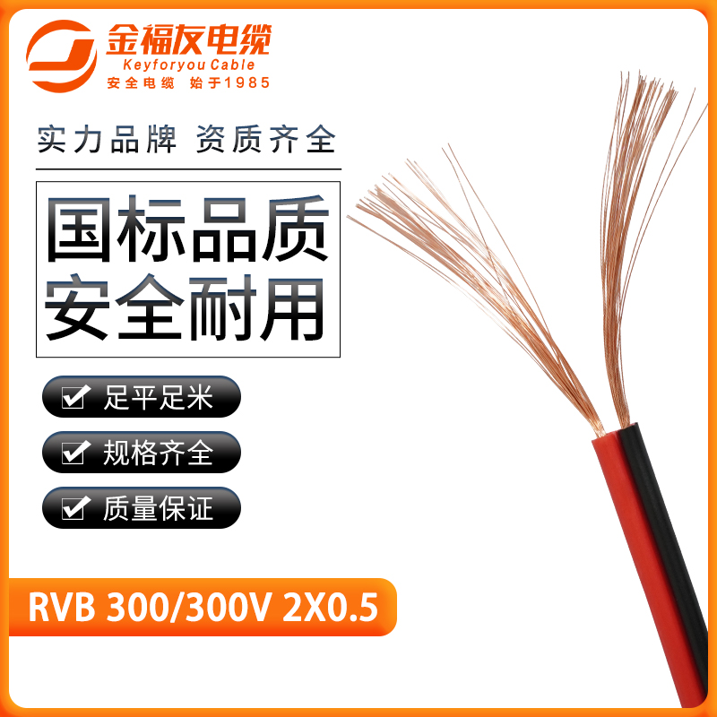 金福友產品-4.3-RVB-300-300V-2X0.5