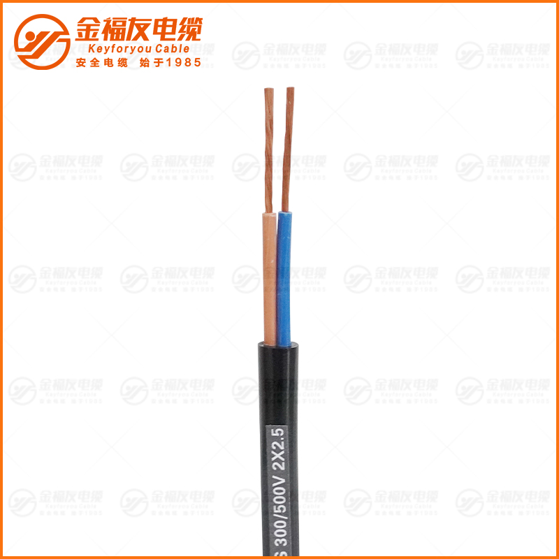 JHS 300-500V 2X2.5 JHS 300-500V 2X2.5