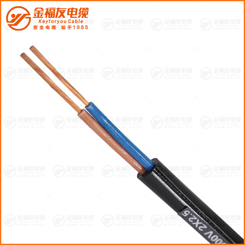 JHS 300-500V 2X2.5 JHS 300-500V 2X2.5