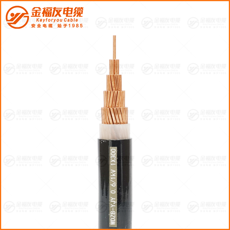 WDZB-YJY 0. 6 1KV 1X300 WDZB-YJY 0. 6 1KV 1X300