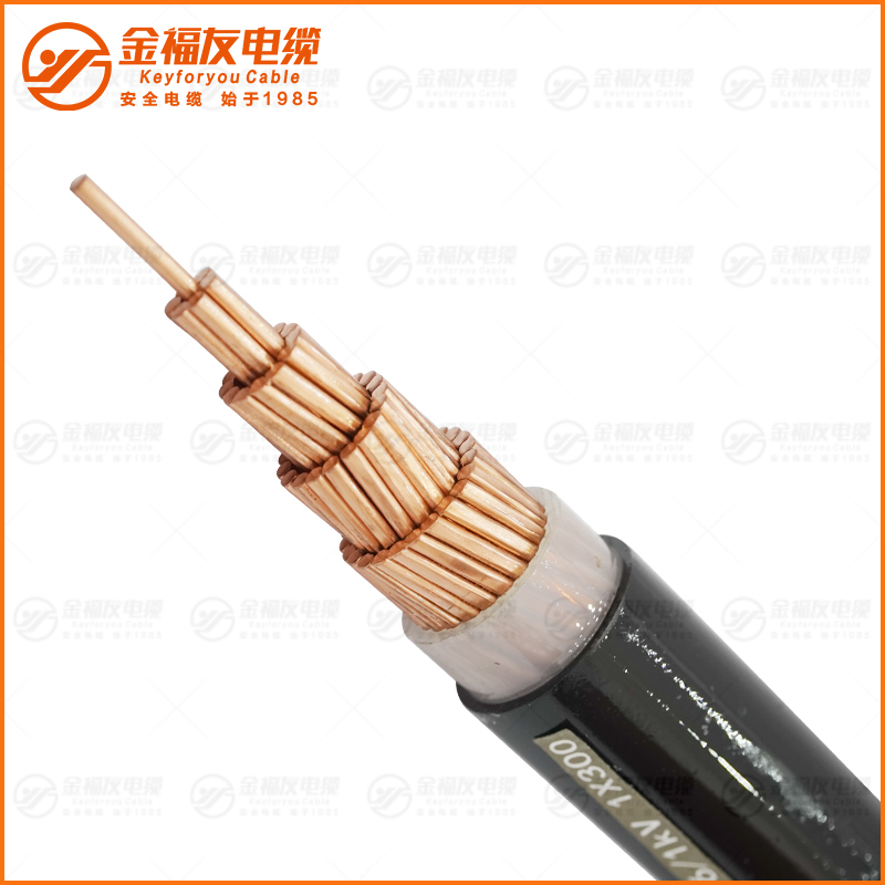 WDZB-YJY 0. 6 1KV 1X300 WDZB-YJY 0. 6 1KV 1X300