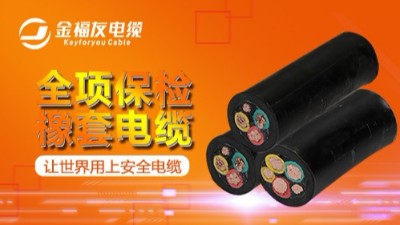 選擇電力電纜的截面時，應遵照哪些原則？