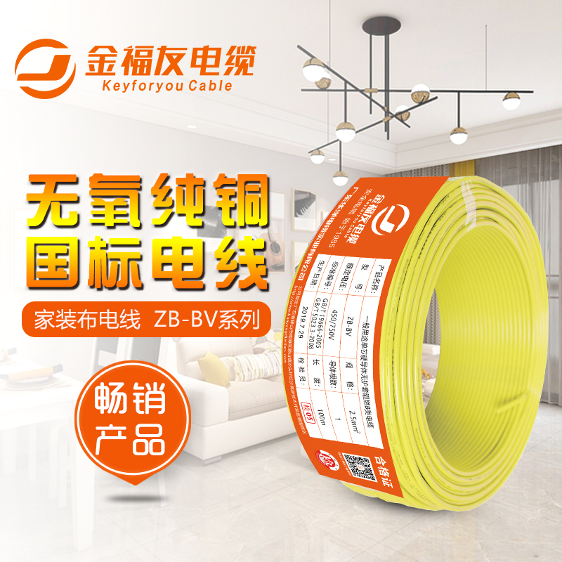 金福友，家裝電線